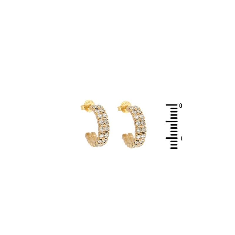 Argola de Strass Duplo